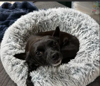 Izzy in TX