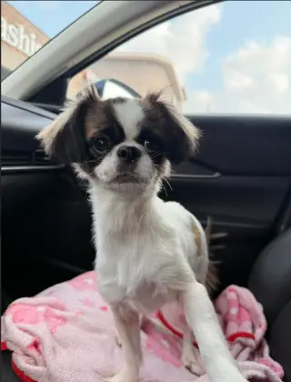 Bella in TX