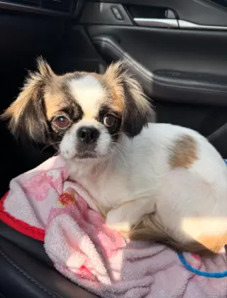 Bella in TX