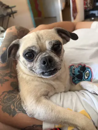 FIONA #4