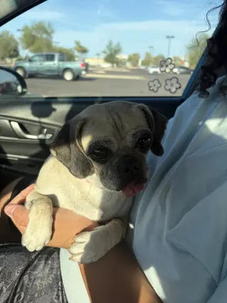 FIONA #4