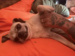 FIONA #4