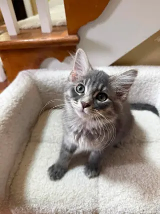 Slugger