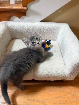 Slugger