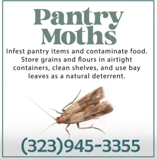 " TERMITE & PEST CONTROL.L.A."