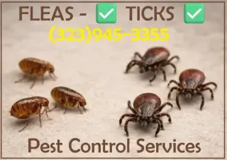 " TERMITE & PEST CONTROL.L.A."