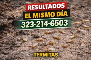FUMIGACION ECONOMICA $50