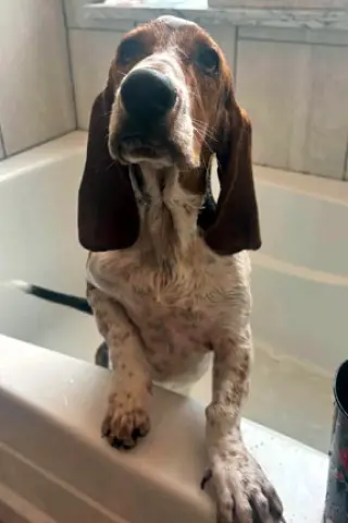 BILLY