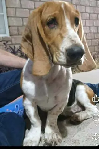 BILLY