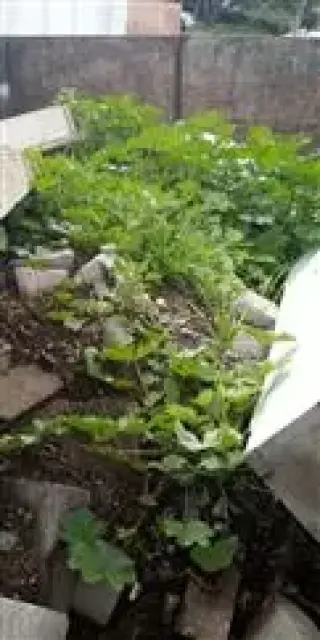 TIERRA PARA JARDIN