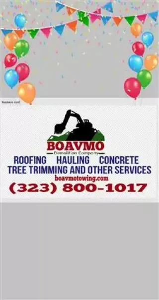 BOAVMO DEMOLITION