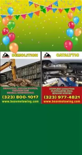 BOAVMO DEMOLITION