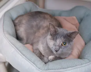 Karen