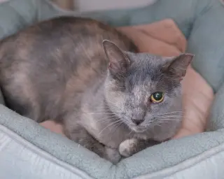Karen