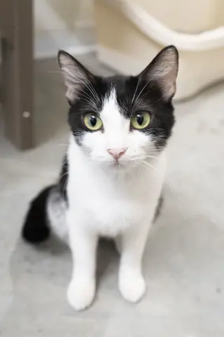 Patience
