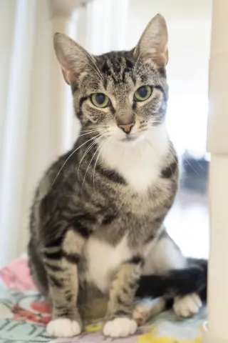 Ethel