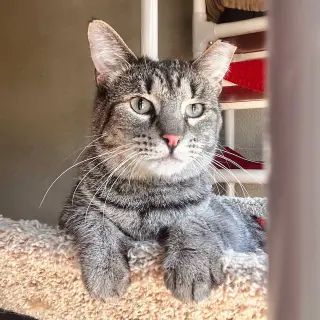 Timmy