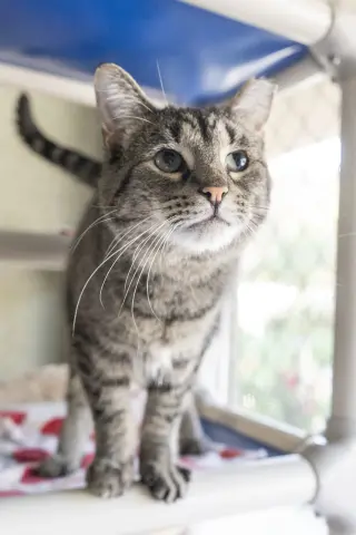 Timmy