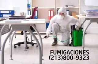 CONTROL INSECTOS (213)800-9323