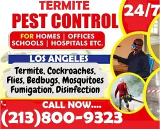 CONTROL TERMITAS (213)800-9323