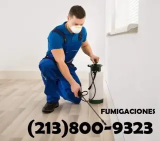 CONTROL TERMITAS (213)800-9323