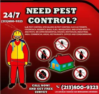 CONTROL TERMITAS (213)800-9323