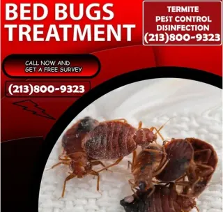 CONTROL TERMITAS (213)800-9323