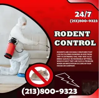 CONTROL TERMITAS (213)800-9323