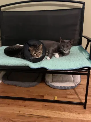 Paula + Thor