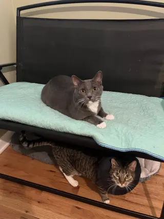 Paula + Thor