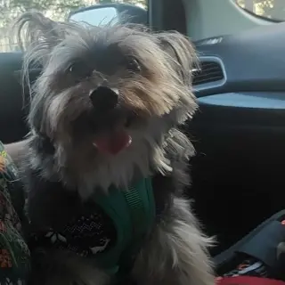 Walter