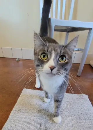 Jr