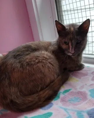 Neptune * IN FOSTER *