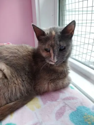 Neptune * IN FOSTER *