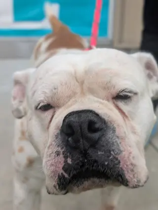 Zoey