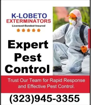 Fumigation - local treatment.