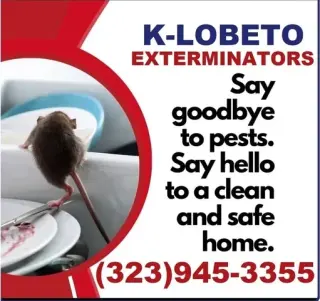 Fumigation - local treatment.