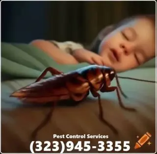 Fumigation - local treatment.