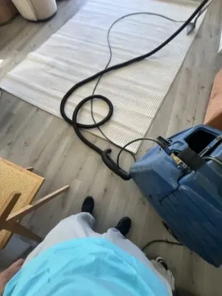 Carpet cleaner