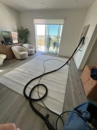 Carpet cleaner