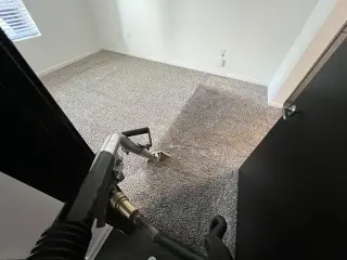 Carpet cleaner