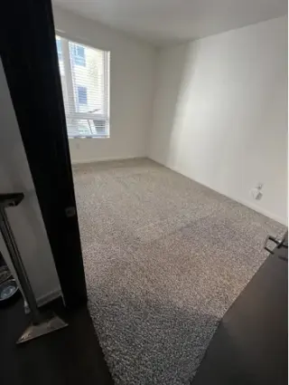 Carpet cleaner