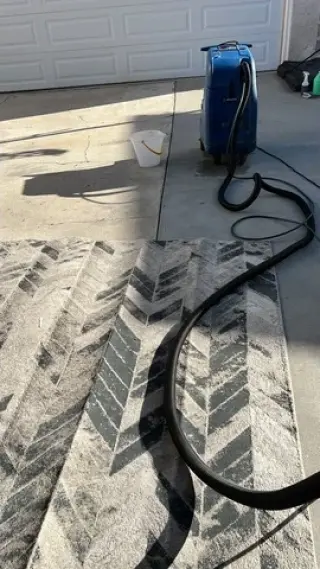 Carpet cleaner