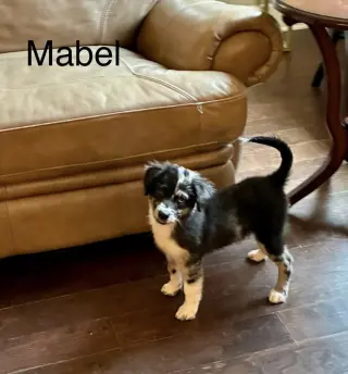 Mabel Lonestar