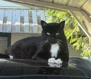 PEANUT #1978 - Offered by Owner - Inside Please?