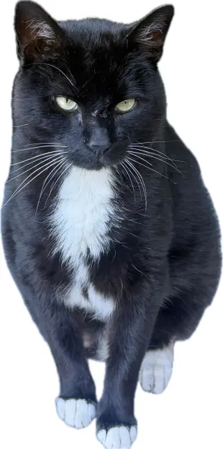 PEANUT #1978 - Offered by Owner - Inside Please?