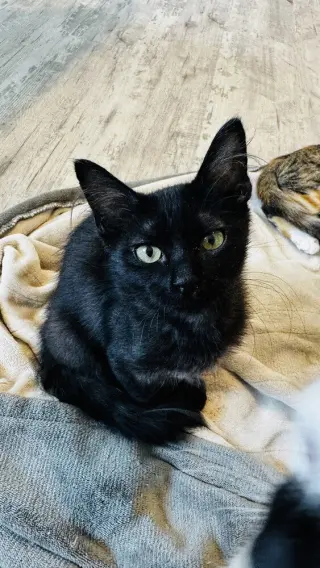 Squash