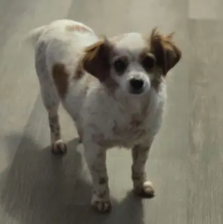 Eloise