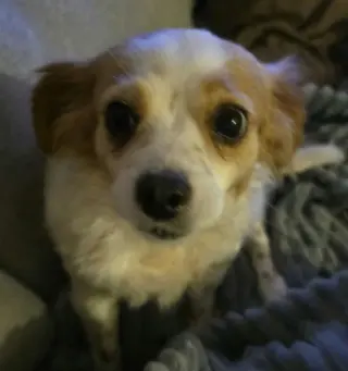 Eloise