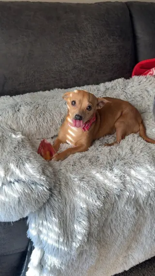 Caramel (Mel)